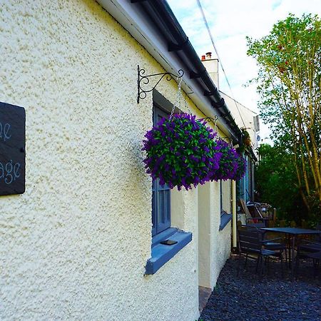 Staycation At Pine Cottage, A Newly Refurbished Holiday Cottage Goodwick Eksteriør billede