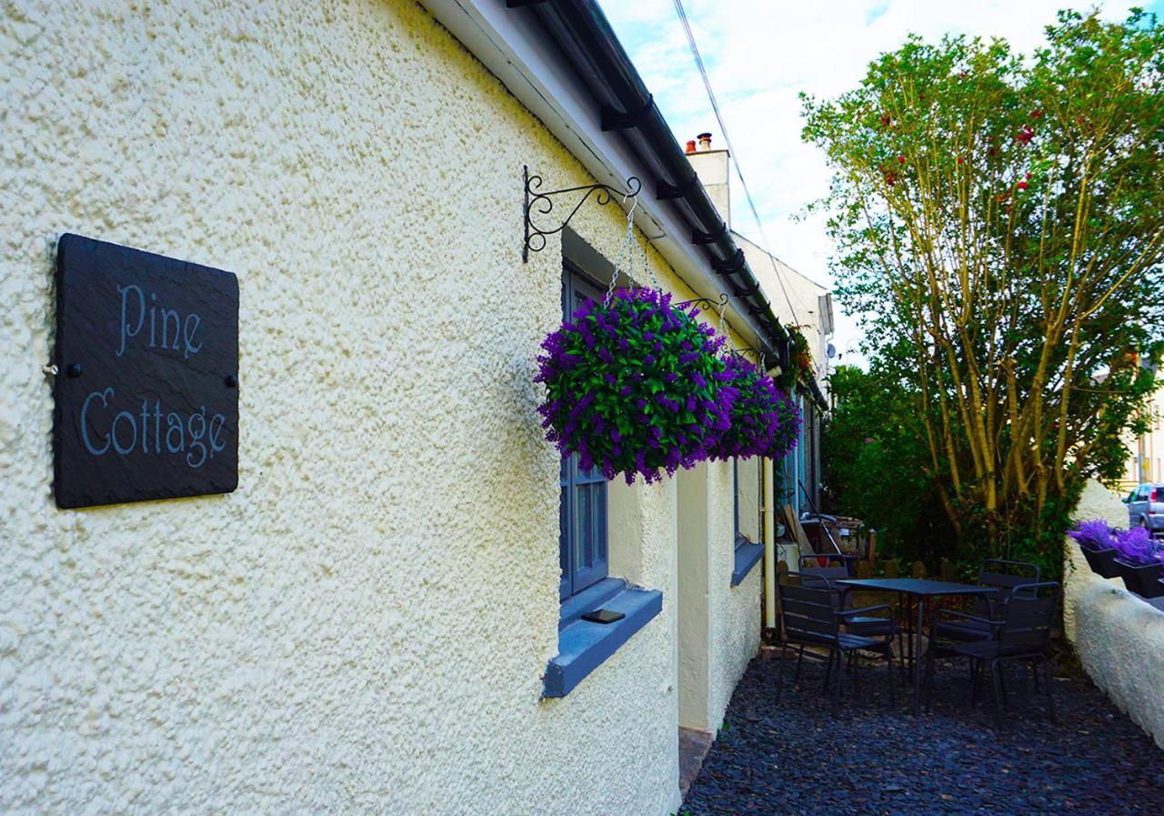 Staycation At Pine Cottage, A Newly Refurbished Holiday Cottage Goodwick Eksteriør billede